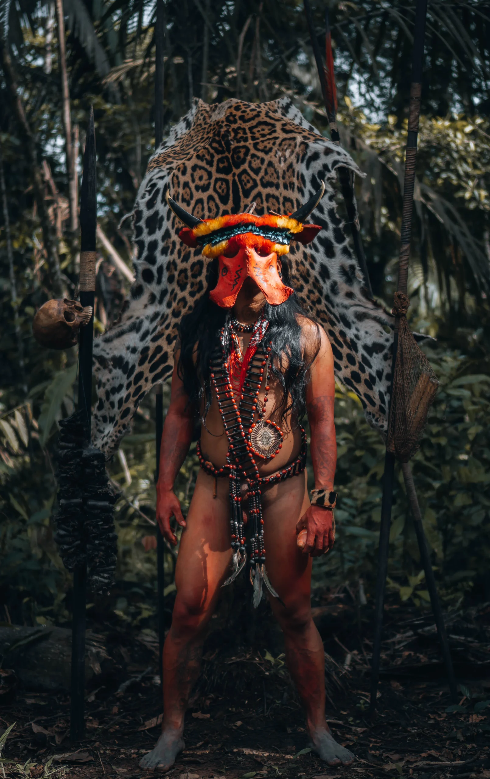 La tribu des Waaronis