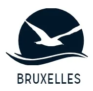 logo Into The Blue Bruxelles
